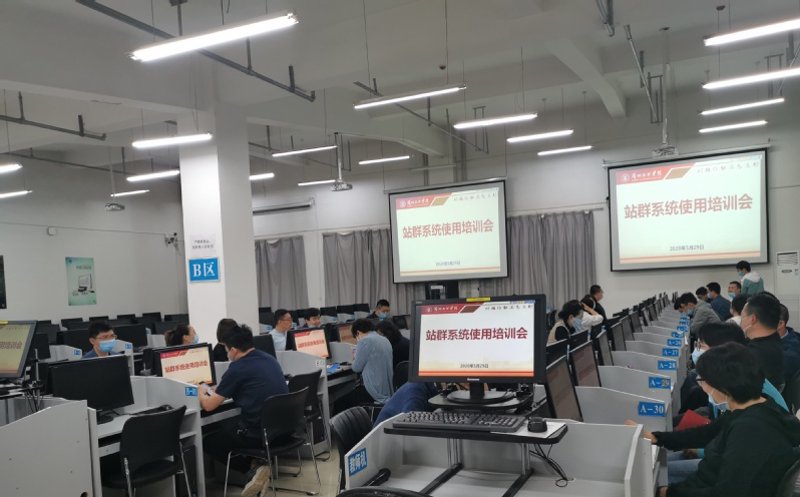 站群软件：在SEO迷雾中寻找光明之道